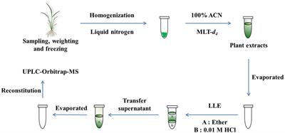 A Simple, Rapid Method for Determination of Melatonin in Plant Tissues by UPLC Coupled with High Resolution Orbitrap Mass Spectrometry